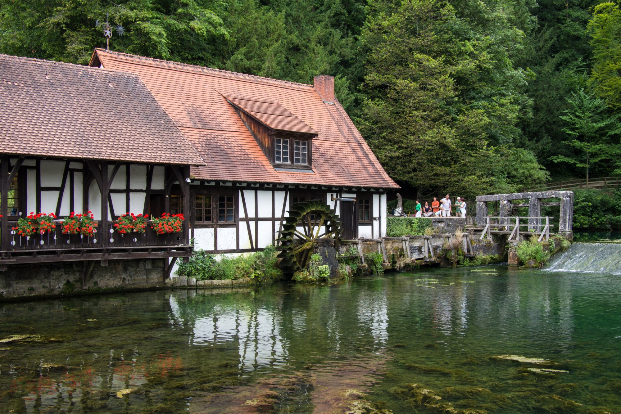 Am Blautopf Wanderung von Blaubeuren Bahnhof zum Rusenschloss. Von dort über den Knoblauchfelsen zum Blaufelsen. Hinunter zur B28. Diese überquerend Aufstieg auf Teerweg bis zur Steigziegelhütte, da Abzweig nach links zum Landeplatz Seißen nicht gefunden. Entlang am Waldrand zur Wegmarkierung. Dieser folgend zur Günzelburg. Von dort zum Felsenlabyrinth und zur Küssenden Sau. Abstiefg zum Bahnhof. Mit dem Auto zum Blautopf.