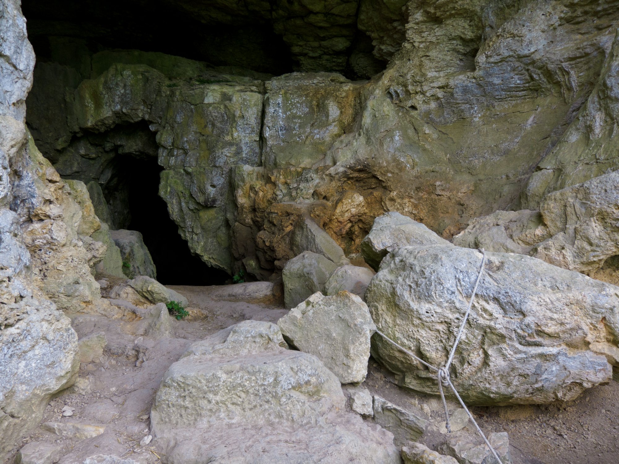 Sibyllenhöhle bei der Teck Das Sibyllenloch ist eine Höhle des Teckbergs, die im Fels unterhalb der Burg Teck liegt. Der Name Sibyllenloch stammt vermutlich aus folgender Sage: In der Sibyllenhöhle, einem großen Loch im Felsen der Teck, hauste vor vielen vielen Jahren die Sibylle in einem unterirdischen Schloss. Sie war eine schöne kluge Frau und tat den Menschen im Tale nur Gutes an. Sibylle hatte drei Söhne - Unhold, Raufbold und Saufbold. Sie waren aber von Grund auf böse, wollten nicht bei ihrer Mutter bleiben und bauen sich ihre eigenen Burgen hoch über dem Lenninger Tal. Rauber, Diepoldsburg und Wielandsteine wurden ihre Behausungen, von wo aus sie die Menschen im Tal immerzu ausraubten und quälten. Aus Gram und Verzweiflung über ihre missratenen Söhne beschloss Sibylle ihr Schloss zu verlassen, spannte riesige Katzen vor einen Wagen und fuhr eines Abends talabwärts durch die Lüfte und wurde nie wieder gesehen. Noch heute kann man den Weg, den Sibylle mit ihrem Wagen genommen hatte, in bestimmten Jahreszeiten gut erkennen. Er wird Sibyllenspur genannt, auf dieser Spur ist das Gras früher grün und das Korn trägt größere Ähren und Äpfel, Birnen und Kirschen sind saftiger und süßer. Neueste Nachforschungen des Landesdenkmalamtes deckten vor kurzem auf, dass es sich bei der Spur jedoch um einen Teilabschnitt des Limes, dem Verteidigungswall der Römer handelte, höhere Humusschichten in den aufgefüllten Gräben sind die Ursache des besseren Wachstums der Pflanzen. Die Sibyllenhöhle befindet sich unterhalb des Aussichtsturmes der Burg Teck. Ausgrabungen, die zahlreiche eiszeitliche Tierskelette zu Tage brachten, wurden schon Ende des 19. Jahrhunderts durchgeführt. Die Funde werden auf ein Alter zwischen 15.000 und 20.000 Jahren geschätzt. Die Knochenstücke von Bären, Höhlenlöwen, Mammut, Nashörnern und Wildpferden lieferten den Wissenschaftlern wichtige Aufschlüsse über die Geschichte der Schwäbischen Alb. Quelle: www.wikipedia.org/wiki/Sibyllenloch. Wanderun