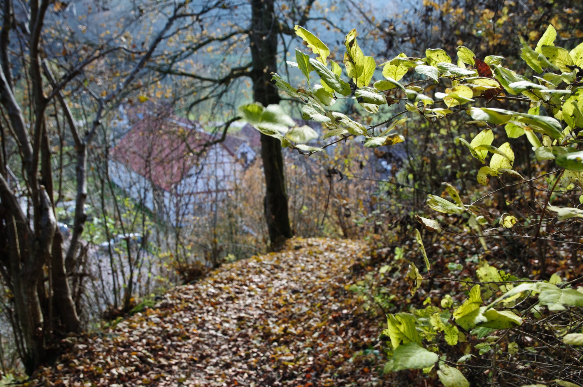 Burgruine Bichishausen Wanderung von Bichishausen über den Aussichtspunkt Bürzel nach Derneck und von dort über den Steilaufstieg nach Hohengundelfingen. Von dort Abstieg zurück nach Bichishausen.