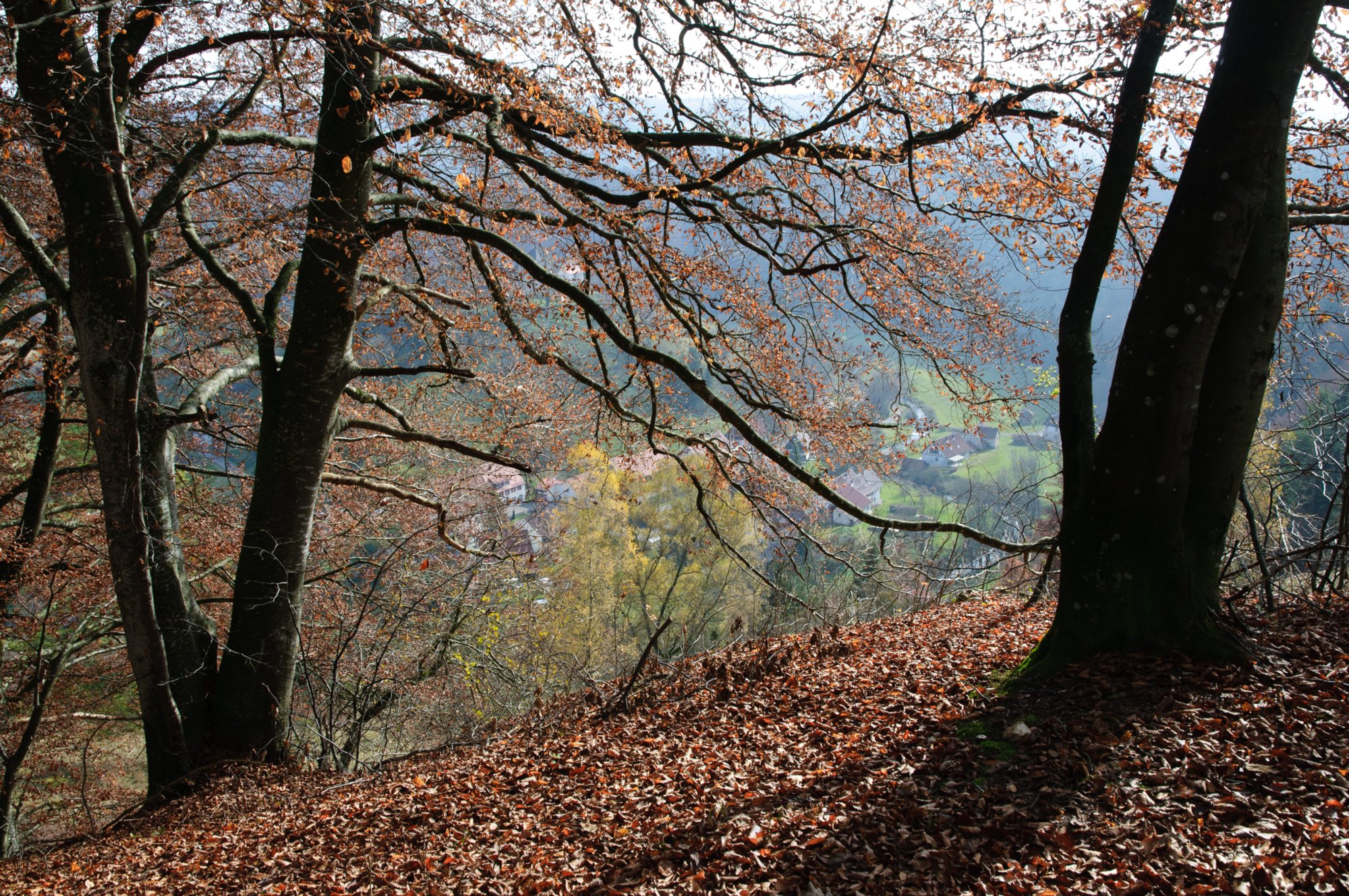 Beim Aussichtspunkt Bürzel Wanderung von Bichishausen über den Aussichtspunkt Bürzel nach Derneck und von dort über den Steilaufstieg nach Hohengundelfingen. Von dort Abstieg zurück nach Bichishausen.