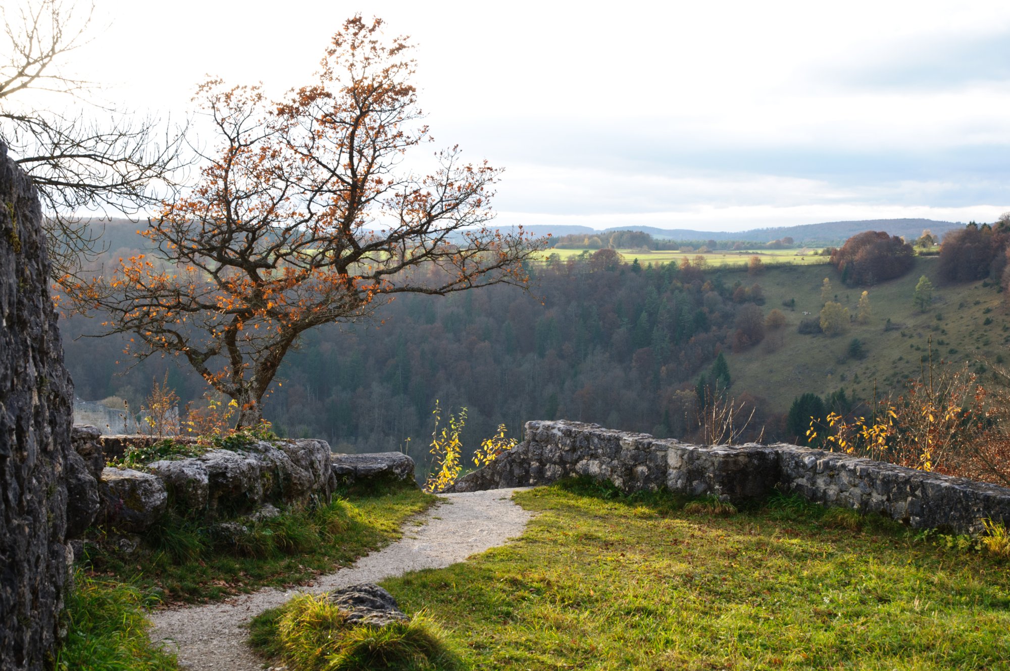 Hohengundelfingen im Abendlicht Wanderung von Bichishausen über den Aussichtspunkt Bürzel nach Derneck und von dort über den Steilaufstieg nach Hohengundelfingen. Von dort Abstieg zurück nach Bichishausen.