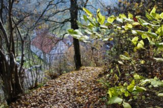 20101103_lautertal_042
