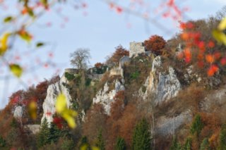20101103_lautertal_165