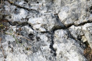 20101103_lautertal_204