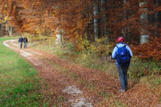20101103_lautertal_236