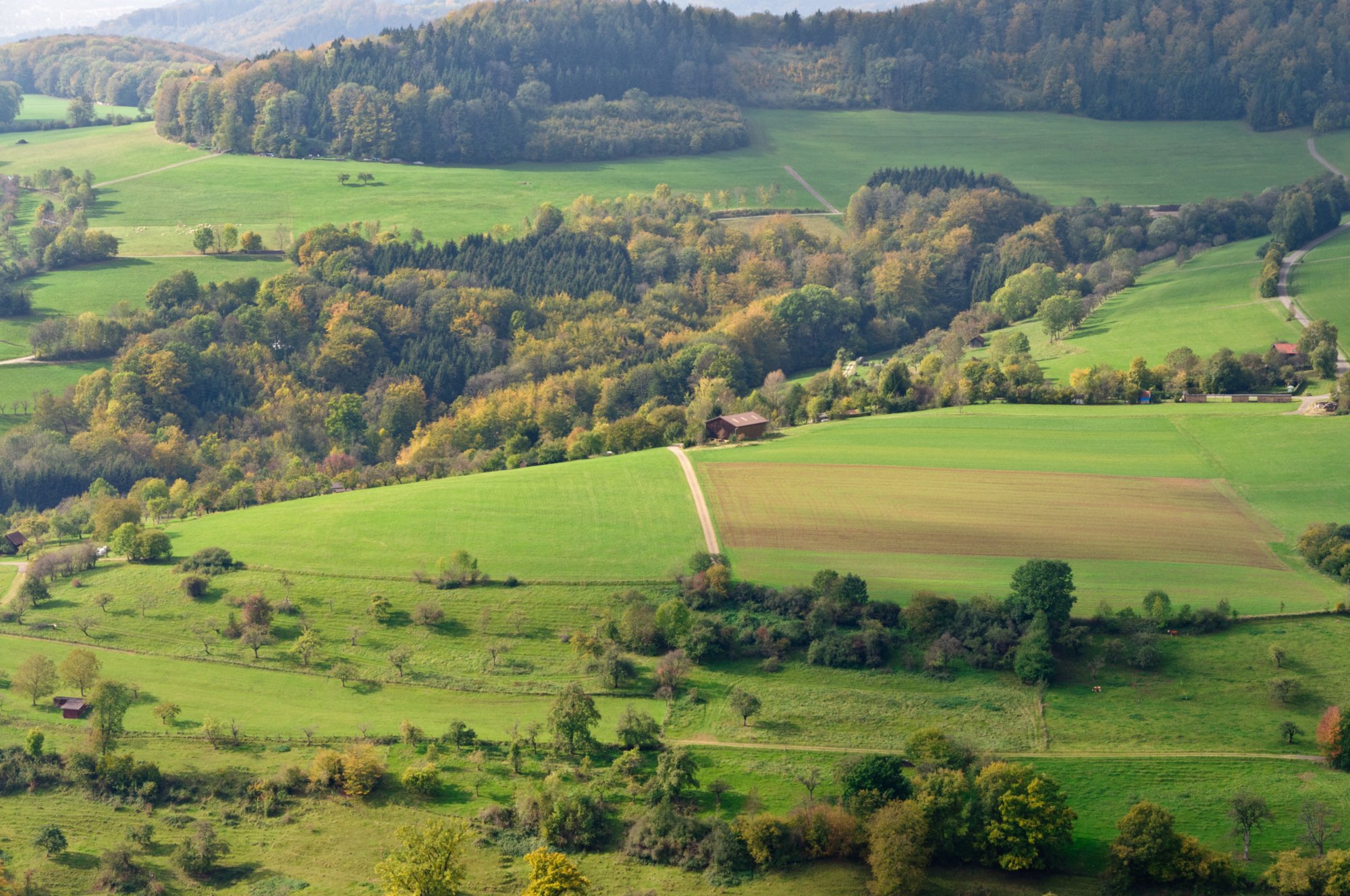 Flur Wanderung von Nenningen über den Galgenberg zum Falten Feld. Von dort über die Reiterleskapelle zurück nach Nenningen.