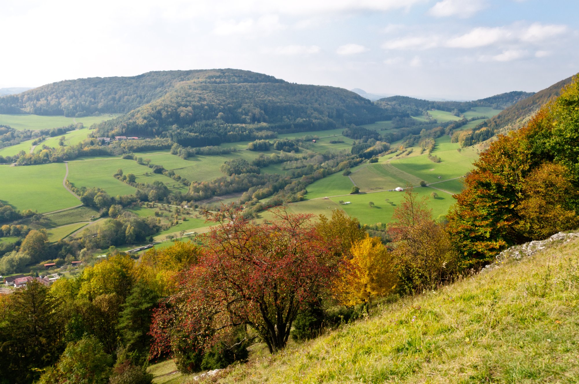 Auf dem Galgenberg Weg vom Feldkreuz zum Kalten Feld. Achtung: Mit dem Rücken zum Kreuz nach links halten und immer entlang der Hankante zum man zu einem Abstieg zum Sattel kommt. Kein markierter Weg! Wanderung von Nenningen über den Galgenberg zum Falten Feld. Von dort über die Reiterleskapelle zurück nach Nenningen.