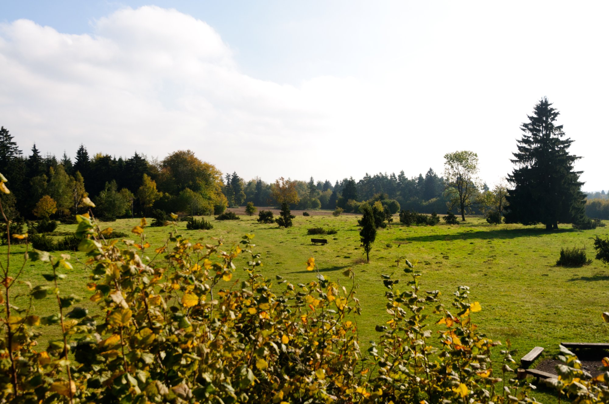 Auf dem Kalten Feld Auf dem Kaltenfeld. Wanderung von Nenningen über den Galgenberg zum Falten Feld. Von dort über die Reiterleskapelle zurück nach Nenningen.