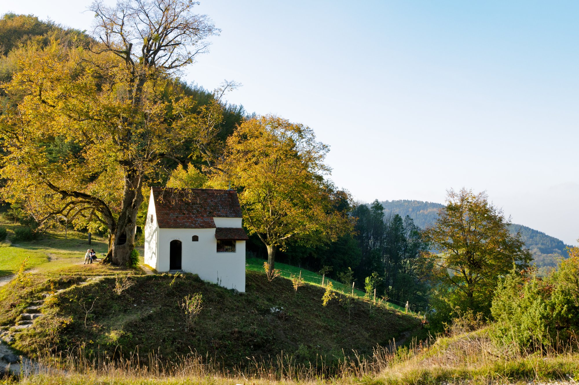 Bei der Reiterleskapelle Bei der Reiterleskapelle. Wanderung von Nenningen über den Galgenberg zum Falten Feld. Von dort über die Reiterleskapelle zurück nach Nenningen.