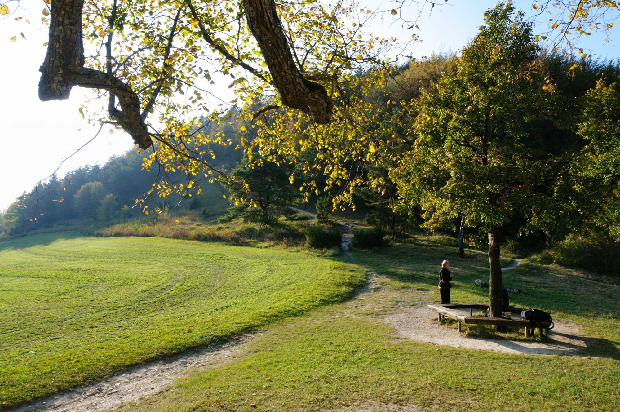 Bei der Reiterleskapelle Bei der Reiterleskapelle. Wanderung von Nenningen über den Galgenberg zum Falten Feld. Von dort über die Reiterleskapelle zurück nach Nenningen.