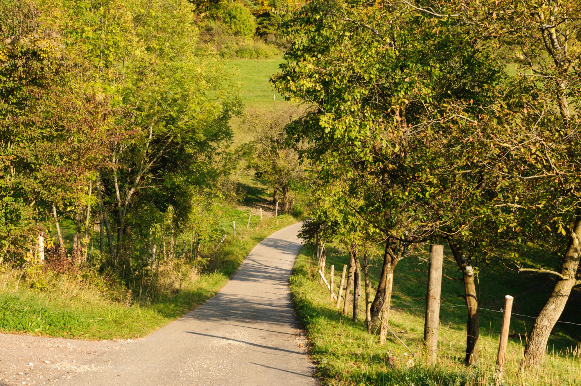 Durch das Christental Rückweg durch das Christental nach Nenningen. Wanderung von Nenningen über den Galgenberg zum Falten Feld. Von dort über die Reiterleskapelle zurück nach Nenningen.