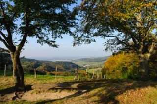 20111017_kaltes-feld_038-bearb