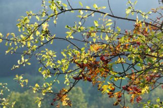 20111017_kaltes-feld_061