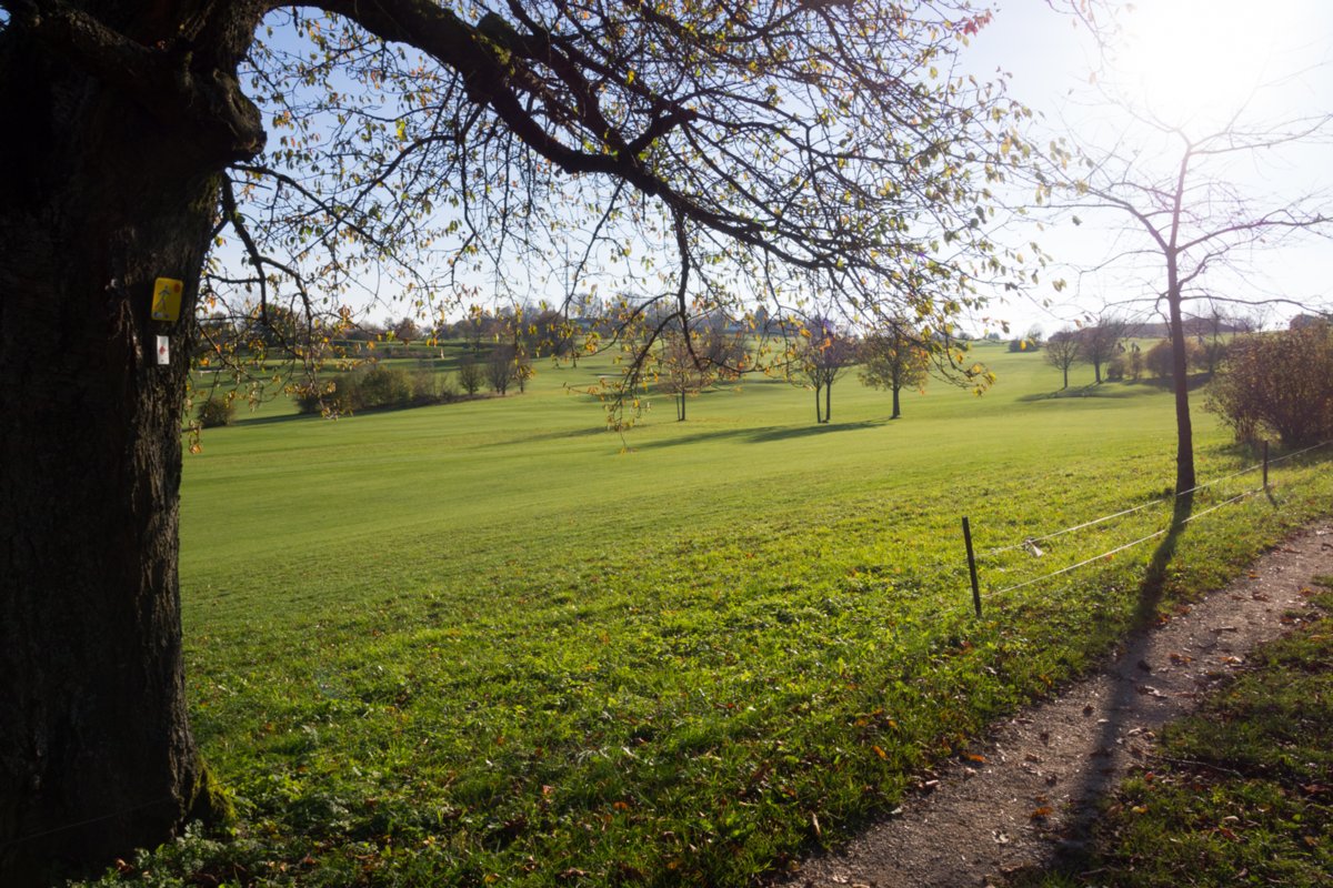 Golfplatz Wanderung von Bad Überkingen (Start: Parkplatz landesberufsschule beim Sportplatz) zum Michelsberg. Jungfraufelsen, Hausener Eand, Hausener Eck, Sandgrube bei Oberböhringen, Golfplatz bei Oberböhringen, Ramsfels, Drei Männersitz, Friedhof Heiligenäcket, Schillertempel, Ausgangspunkt.