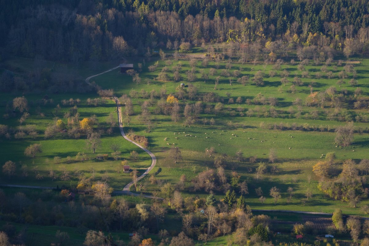 Blick vom Ralsfels Wanderung von Bad Überkingen (Start: Parkplatz landesberufsschule beim Sportplatz) zum Michelsberg. Jungfraufelsen, Hausener Eand, Hausener Eck, Sandgrube bei Oberböhringen, Golfplatz bei Oberböhringen, Ramsfels, Drei Männersitz, Friedhof Heiligenäcket, Schillertempel, Ausgangspunkt.