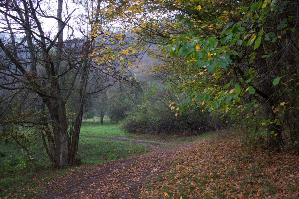 Rückweg nach bad Überkingen Wanderung von Bad Überkingen (Start: Parkplatz landesberufsschule beim Sportplatz) zum Michelsberg. Jungfraufelsen, Hausener Eand, Hausener Eck, Sandgrube bei Oberböhringen, Golfplatz bei Oberböhringen, Ramsfels, Drei Männersitz, Friedhof Heiligenäcket, Schillertempel, Ausgangspunkt.