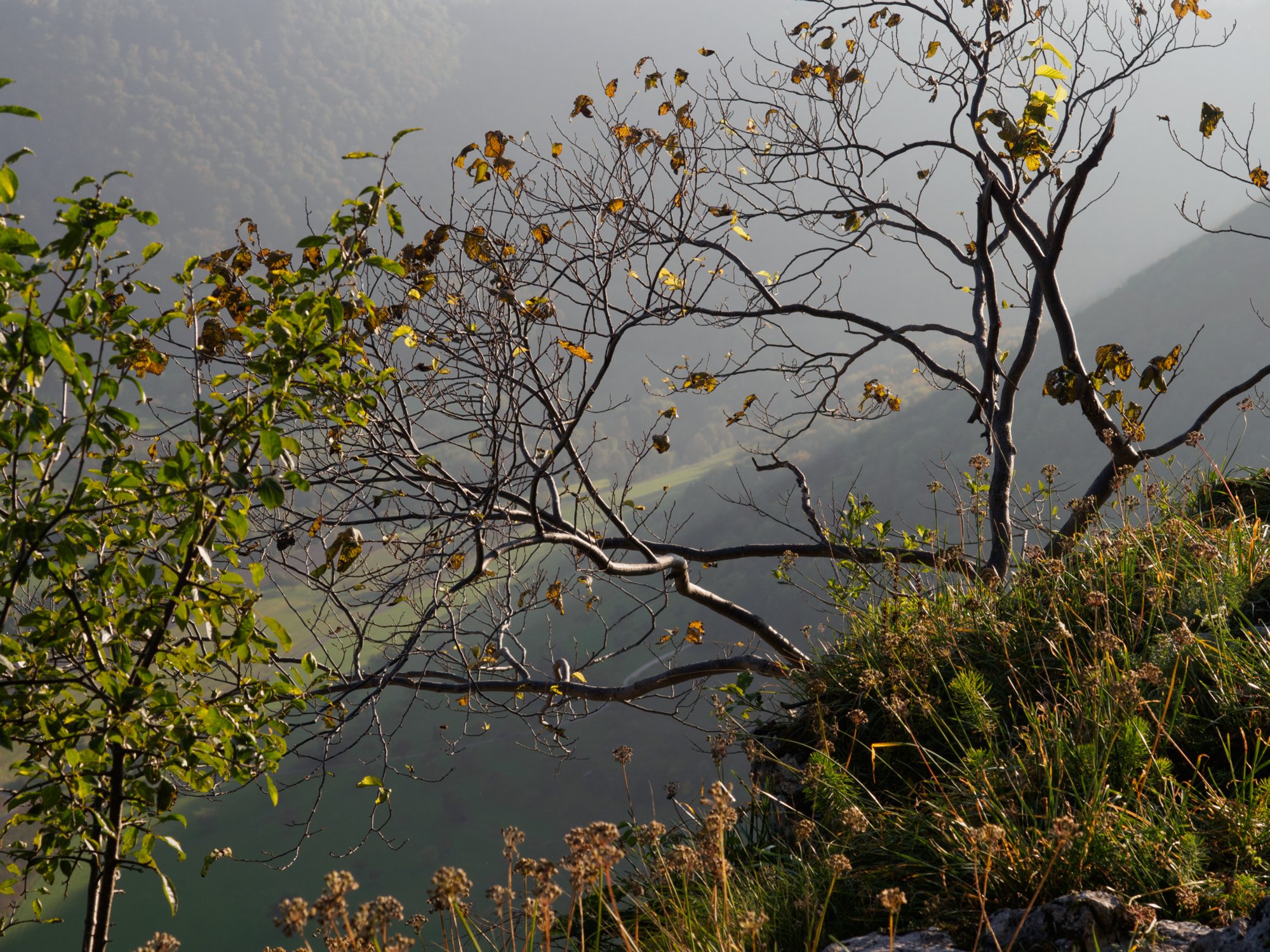 Hausener Wand Aussichtskanzeln an der Hausener Wand. Michelsbergwanderung: Von Bad Überkingen über den Dreimännersitz und den Ramsfels, Oberböhringen zur Hausener Wand, Jungfrauenfels zurück nach Bad Überkingen.