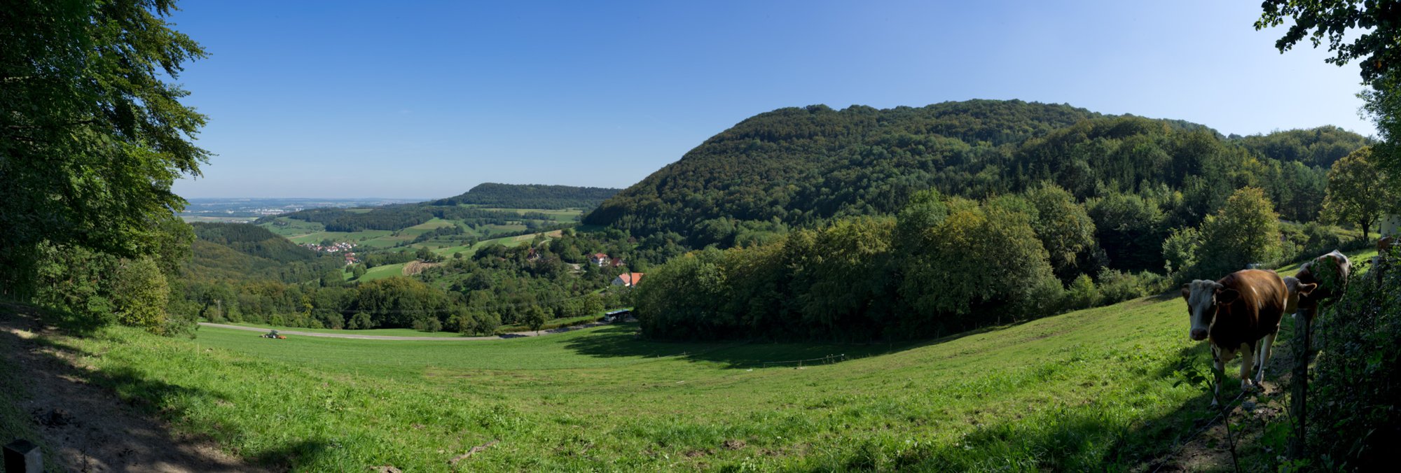 20110903_stuifen_059-bearb Blick zum Kaltenfeld kurz unterhalb der Reiterleskapelle. Wanderung von Winzingen über die Reiterleskapelle auf den Stuifen und über Wissgoldingen zurück nach Winzingen.