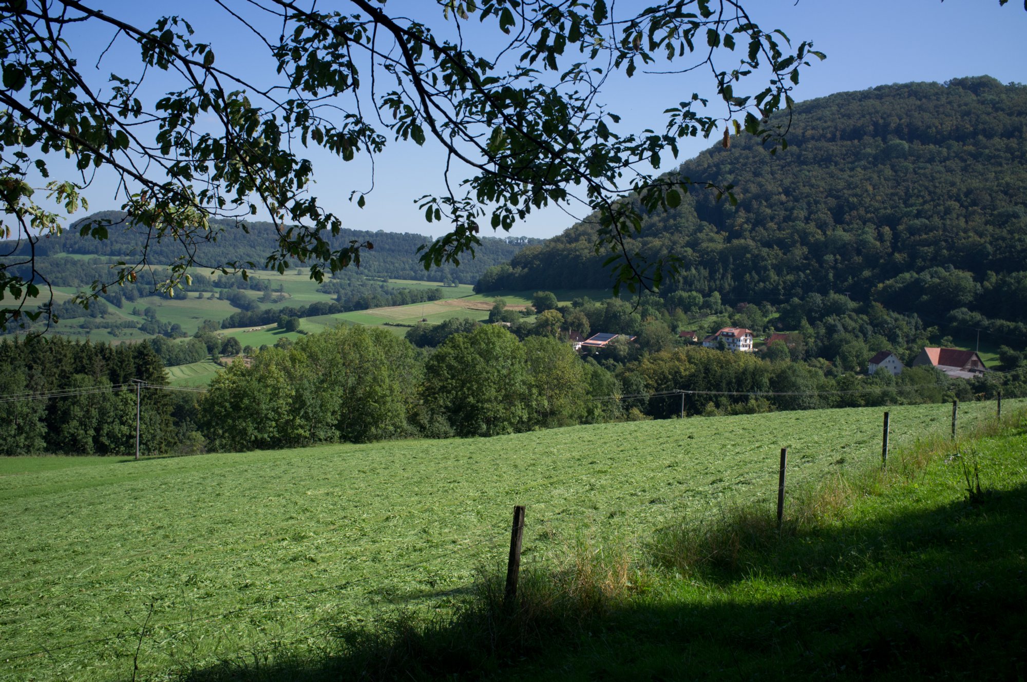 Kaltenfeld Blick zum Kaltenfeld auf dem Weg zum Schönberg. Wanderung von Winzingen über die Reiterleskapelle zum Stuifen und über Wissgoldingen zurück nach Winzingen.