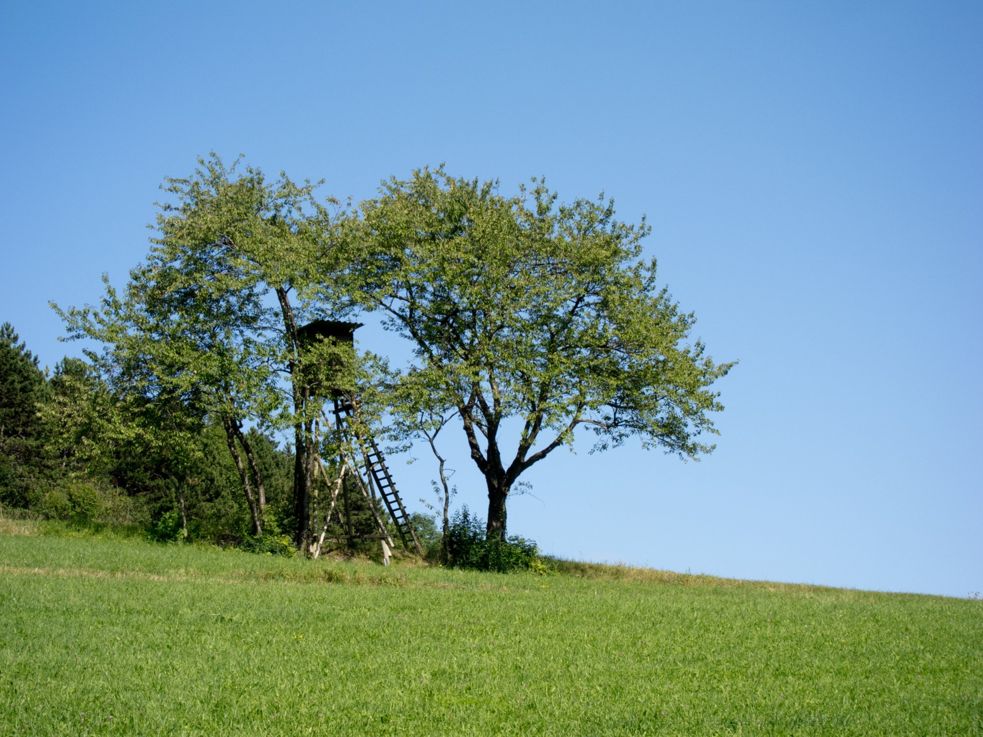 Hochstand Hochstand am Fuß des Stuifen bei Wissgoldingen. Wanderung von Winzingen über die Reiterleskapelle zum Stuifen und über Wissgoldingen zurück nach Winzingen.