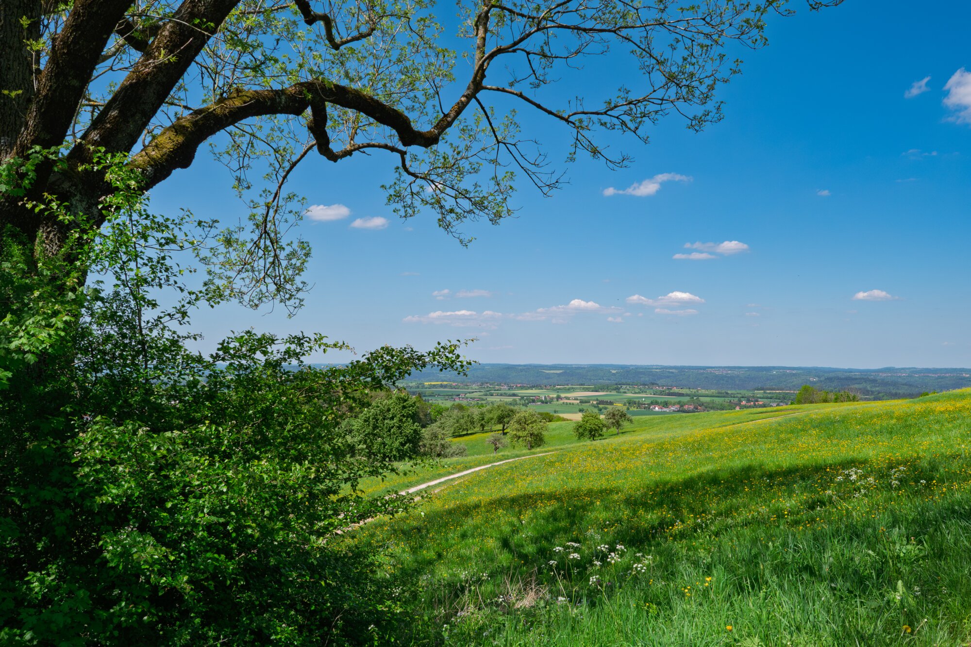 P1027207-Verbessert-RR Ausblick beim Aufstieg zum Hohenstaufen