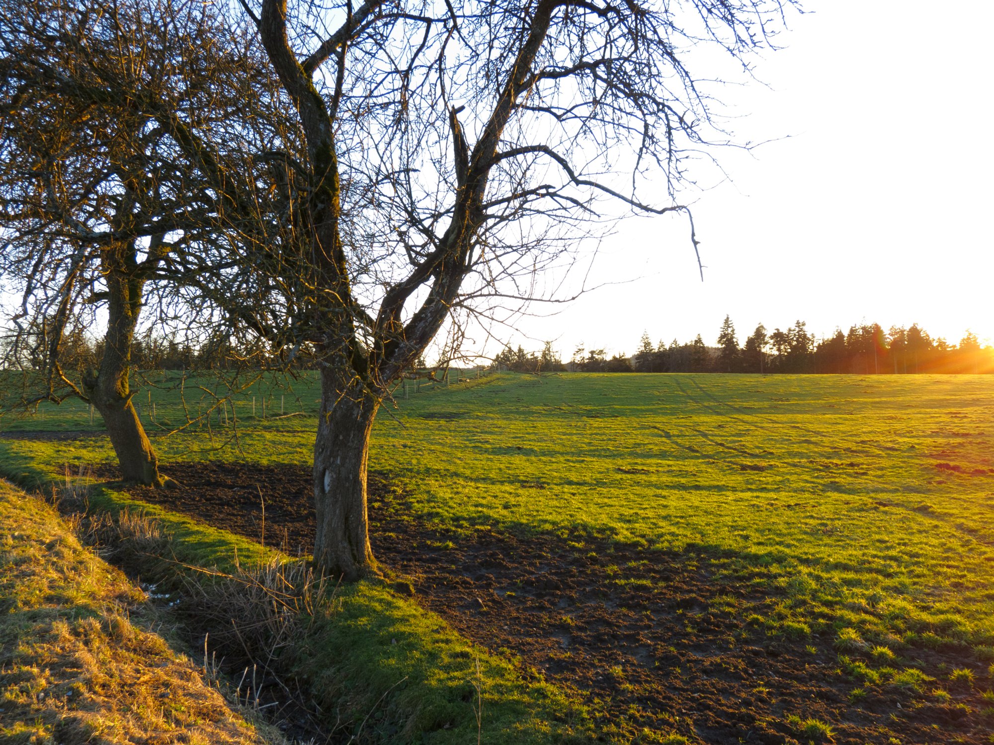 Oberrot Kornberg - Sittenhardt Spaziergang von Oberrot-Kornberg nach Sittenhardt