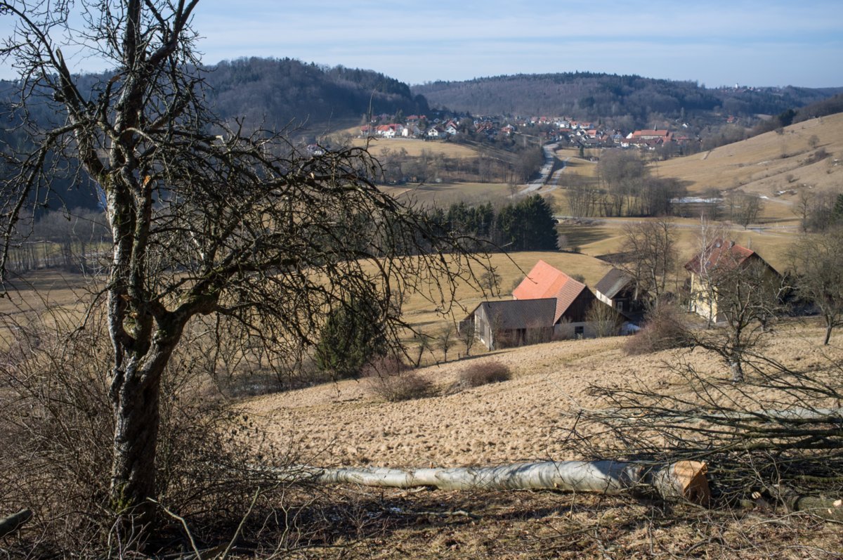 Kulturlandschaftslehrpfad Gnadental Pfad am Waldrand oberhalb von Wagrain Richtung Lemberg.