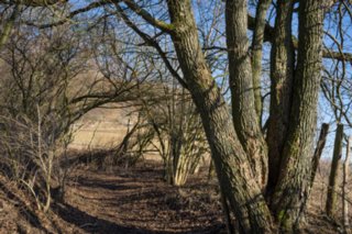 20120222_gnadental_108