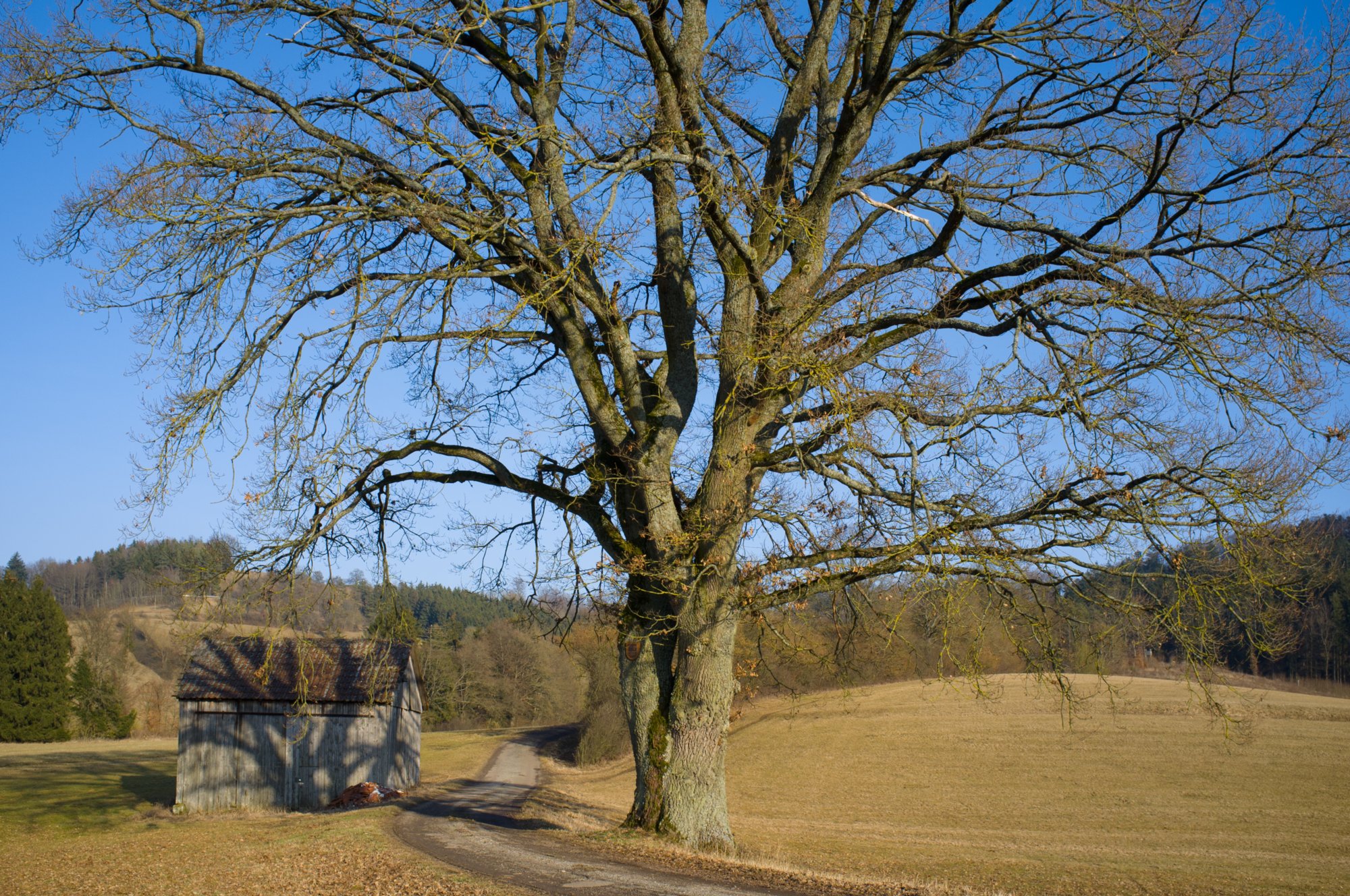 Ökumenischer Kirchenweg Wanderung von Oberrot nach Hausen und über die Sielbergkapelle zurück nach Oberrot.