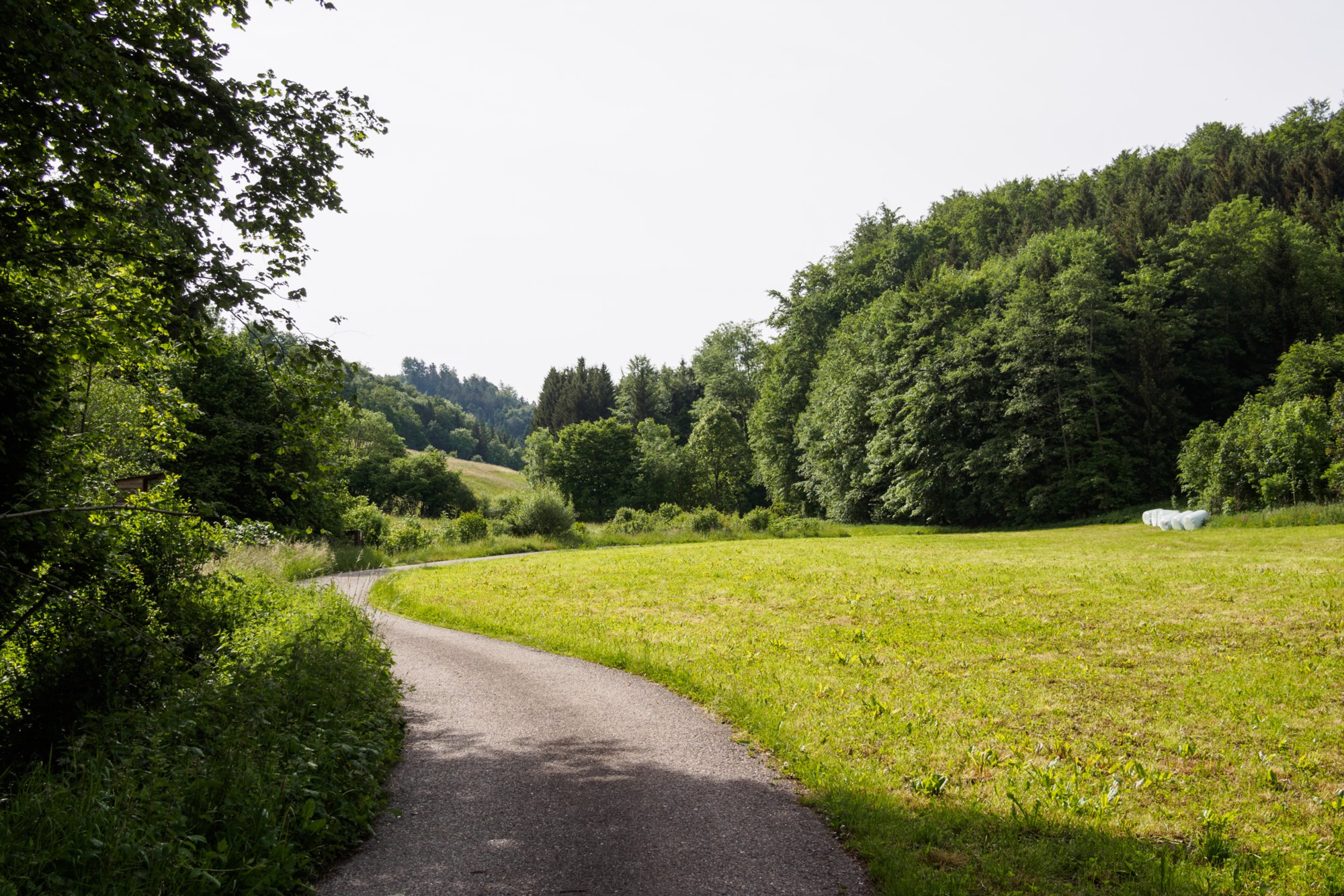 Orntal Wanderung von Maibach über das Orntal nach Schuppach und zurück über Hegenheule nach Maibach.