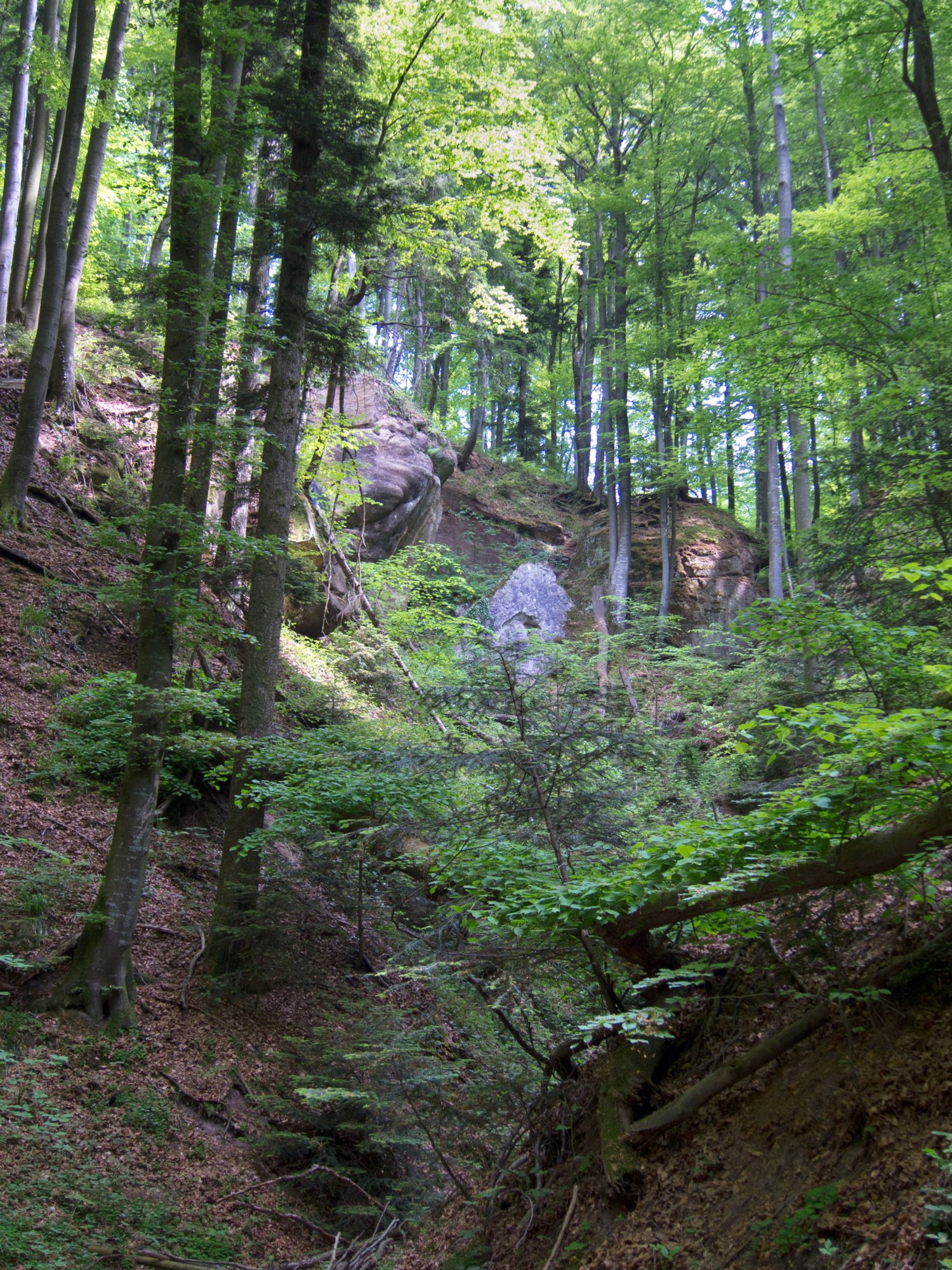 Schelmenklinge Schelmenklinge. www.schelmenklinge.de. Wanderung vom Kloster Lorch über die Brucker Sägmühle und durch die Schelmenklinge zurück zum Kloster Lorch.