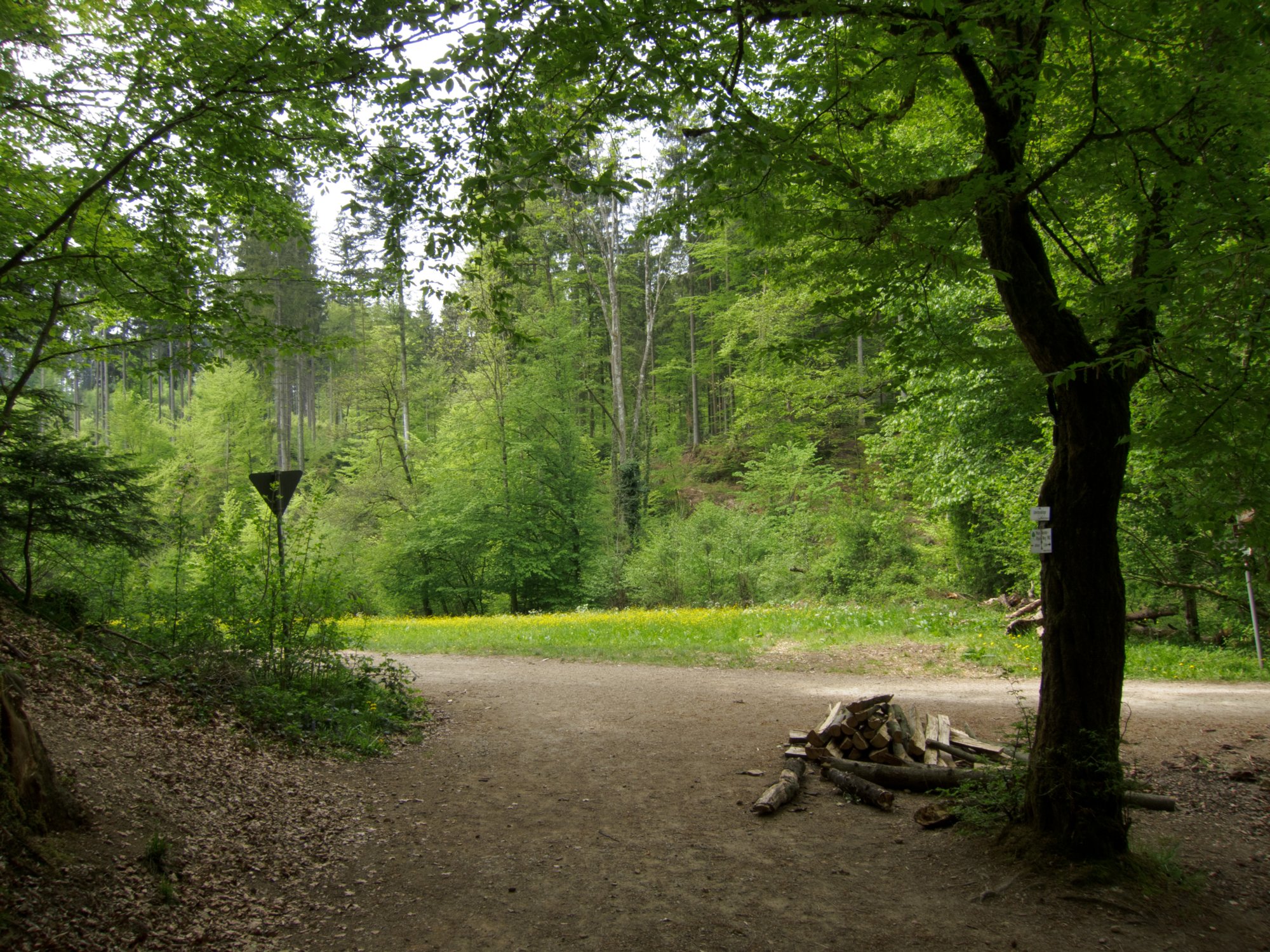 Weg von der Schelmenklinge zum Koster Lorch Weg von der Schelmenklinge zum Koster Lorch. Wanderung vom Kloster Lorch über die Brucker Sägmühle und durch die Schelmenklinge zurück zum Kloster Lorch.