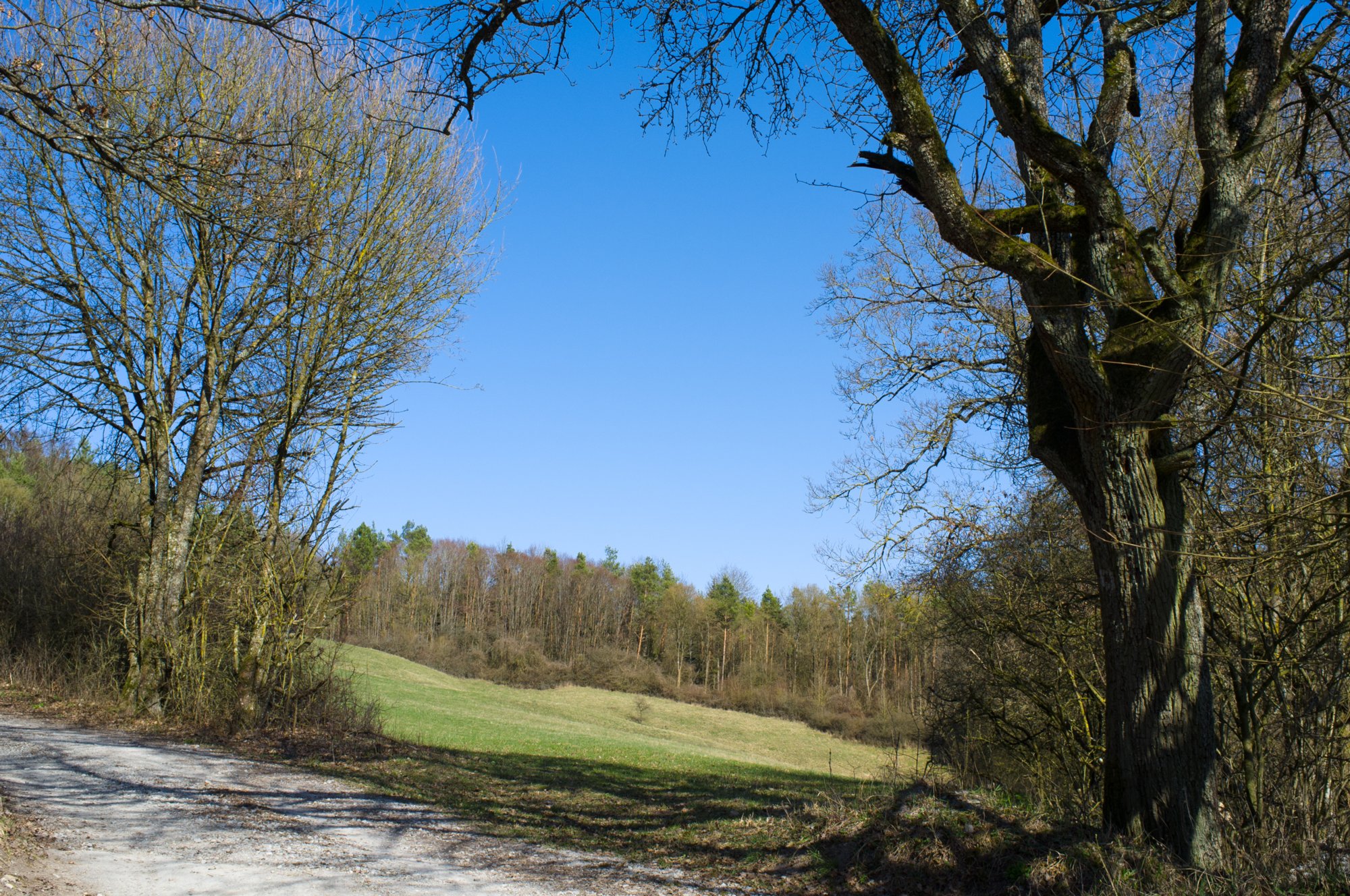 Schenkenbecher-Weg bei Michelbach Bei der landschaftspflegehütte nahe Buchhorn und Bilz auf dem Schenkenbecher-Weg bei Michelbach.