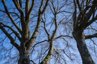 20120327_schenkenbecherrunde_067