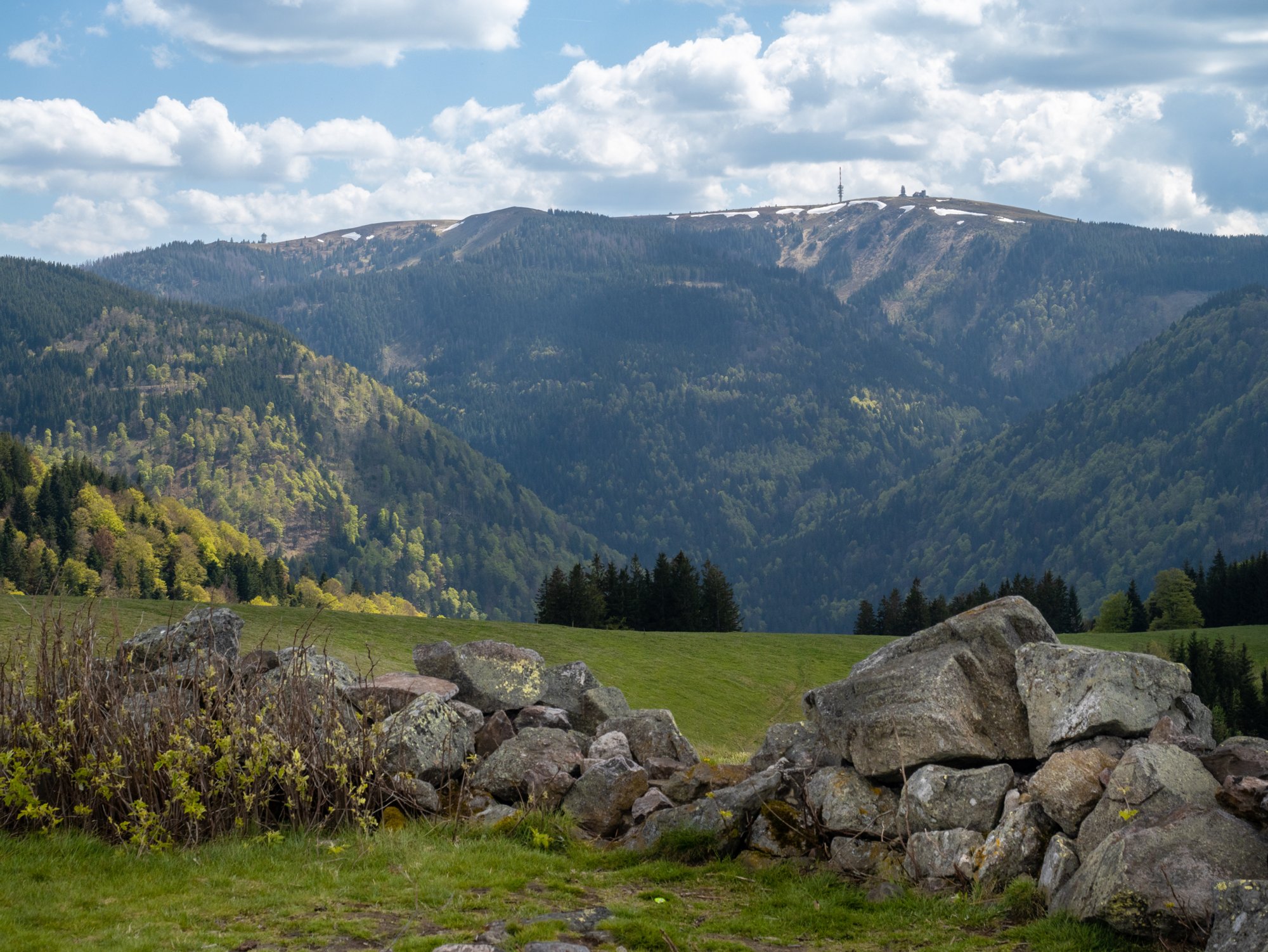 Blick vom Hinterwaldkopf zum Feldberg 