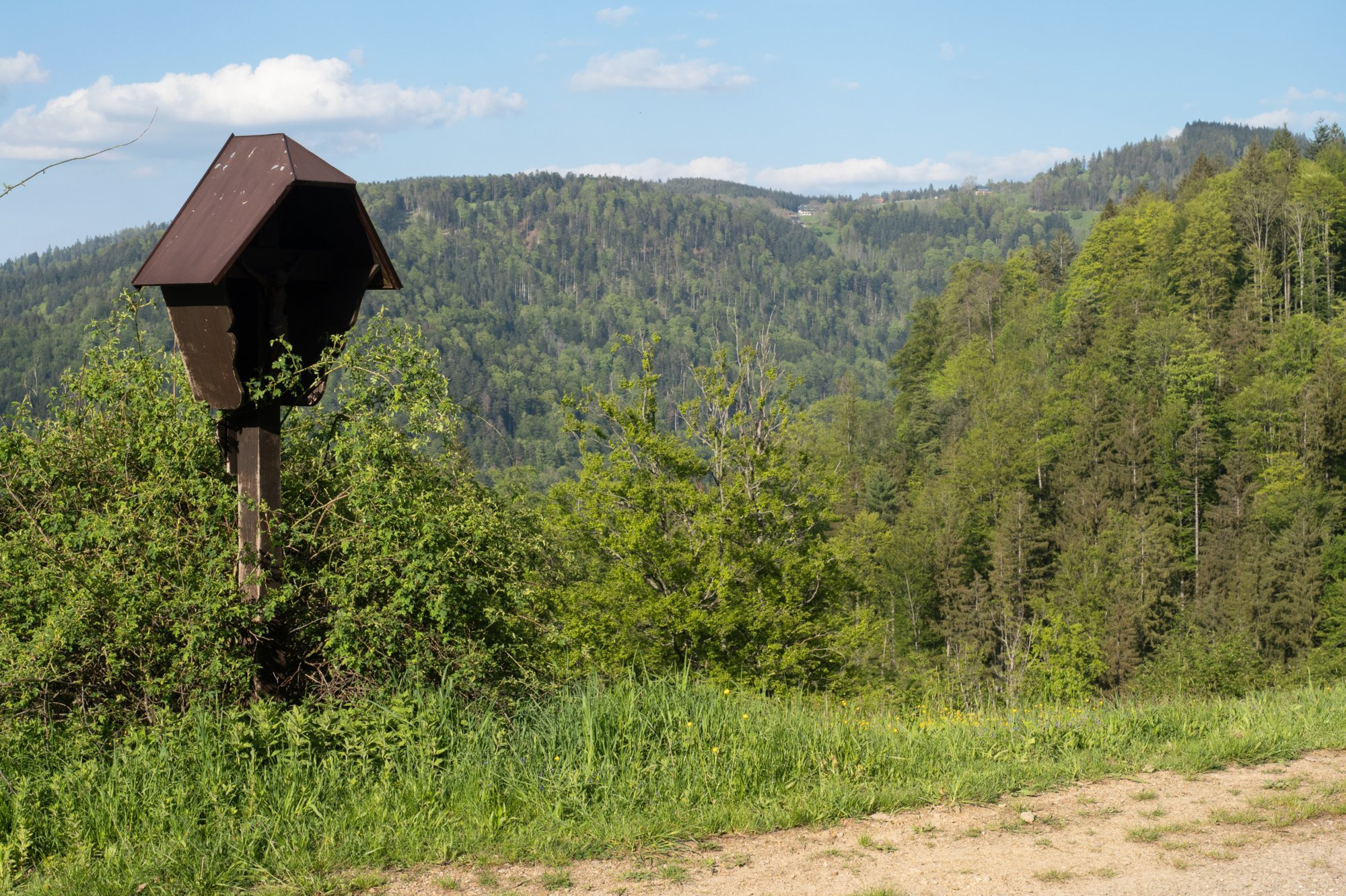20240510_hinterzarten-himmelreich_208 