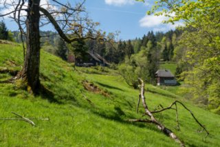 20240510_hinterzarten-himmelreich_001