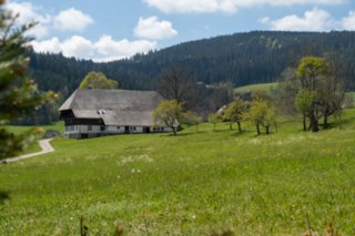 20240510_hinterzarten-himmelreich_007