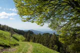 20240510_hinterzarten-himmelreich_077