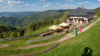 20240510_hinterzarten-himmelreich_198-HDR-Pano