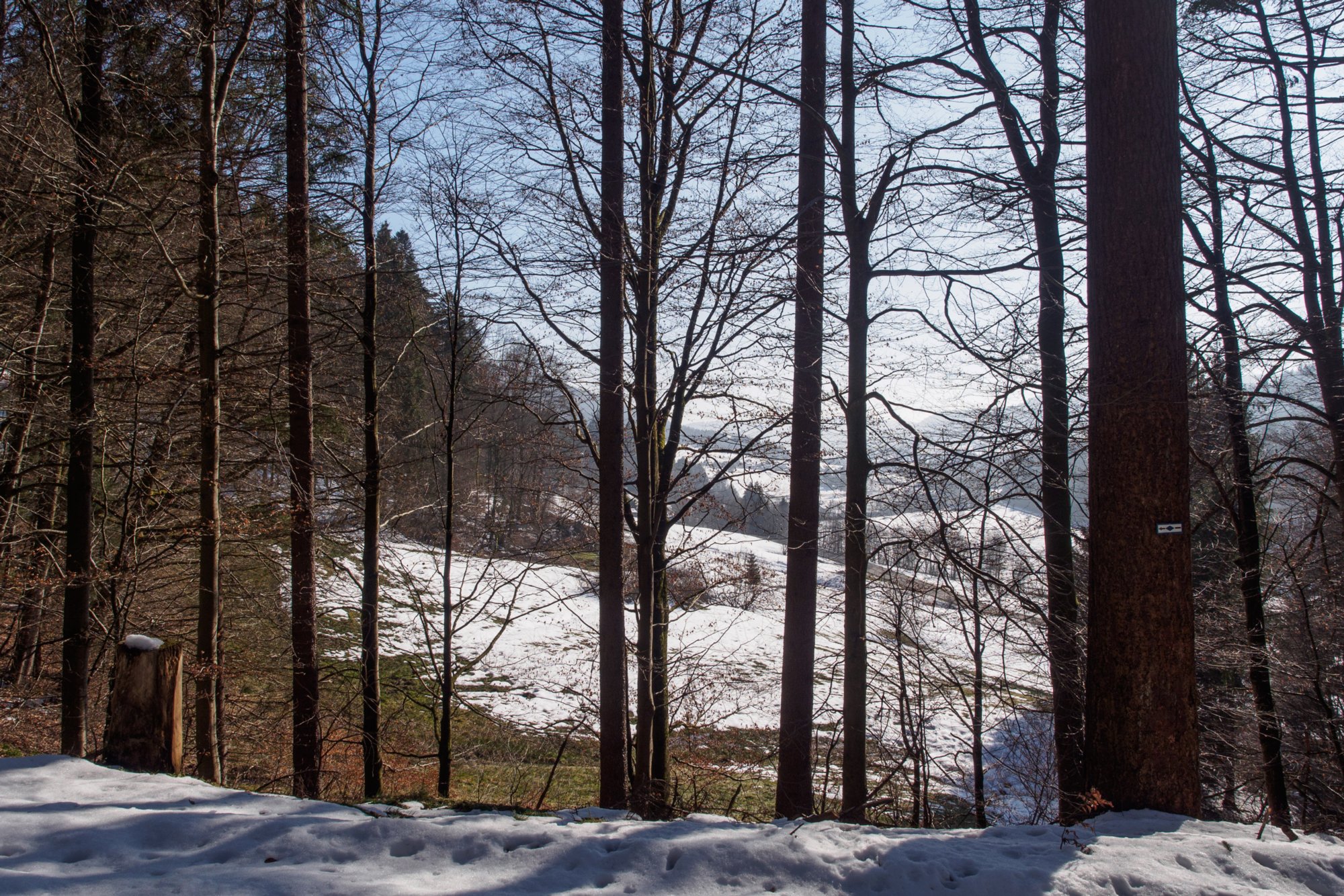 Weg nach Schönegründ Wanderung von Röt (Gemeindeteil von baiersbronn) nach Hutzenbach und zurück über Schönegründ.