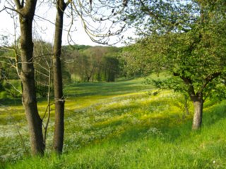 20110509_creglingen_080-bearb