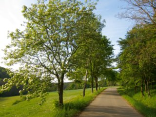 20110509_creglingen_088