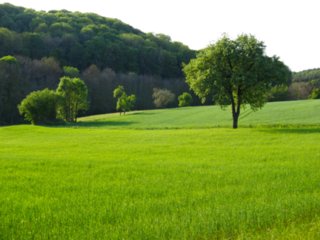 20110509_creglingen_093